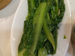 油麦菜-银记肠粉店(赤岗店)