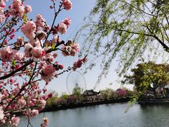 -无锡蠡湖国家湿地公园-蠡园