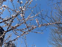 -燕莎友谊商城(亮马桥店)