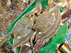 -小时候焗海鲜(鄞州万达店)