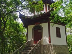 -上海佘山国家森林公园天马山园