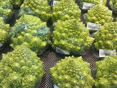 -果蔬好生活超市(乐堤港店)