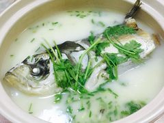 -天乐农家鱼头王(天目湖店)