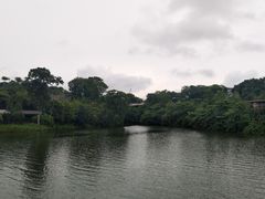 -河川生态园