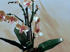 -Again Coffee Roaster(香蜜湖店)