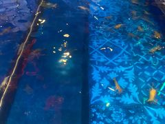 -钳真多钓虾馆·小龙虾海鲜烧烤(九六广场店)