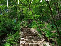 -大岭沟猕猴桃谷风景区