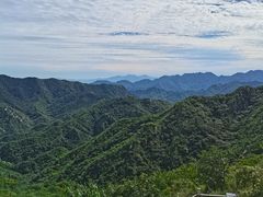 -大岭沟猕猴桃谷风景区