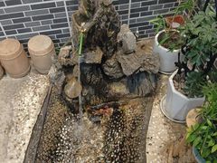 -西江美食舫·江西菜(健德桥店)