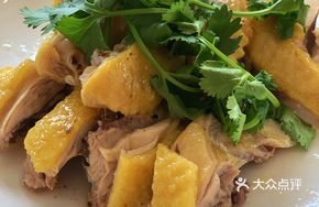 Poached Chicken