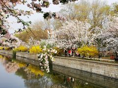 -海棠花溪(元大都城垣遗址公园)