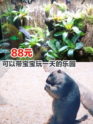 -酷嗒动物文化乐园(cutezoo西溪乐天城店)