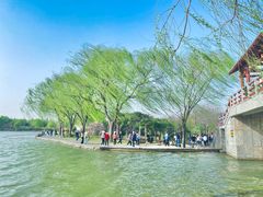 -洛阳市隋唐城遗址植物园