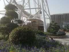 -泰盛楼顶摩天轮