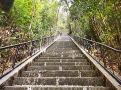 -云南屏边大围山国家公园