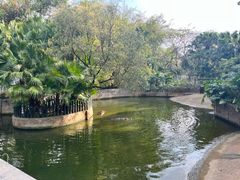 -深圳野生动物园
