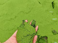 -呼伦湖旅游景区
