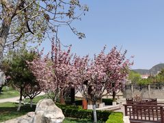 -静之湖湖畔餐厅