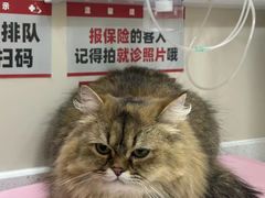-御宝贝24h宠物医院·转诊中心·CT核磁血透中心(厦门总院)