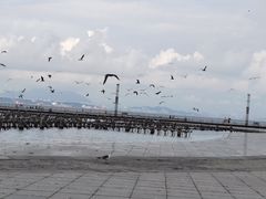 -东港音乐喷泉广场