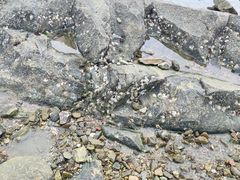 -海源公园