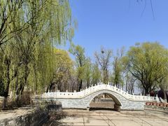 -抱犊寨风景区