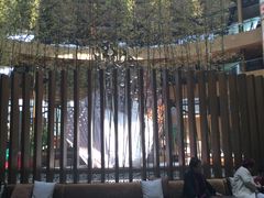 IMG_8702-上海滴水湖皇冠假日酒店