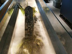 -渔沧米缸·绍兴美食(万达店)
