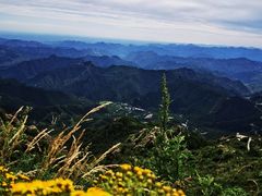 -白草畔自然风景区