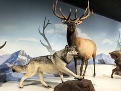 -陕西自然博物馆