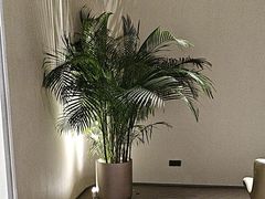 -YCHL FIT 健身(星寰店)