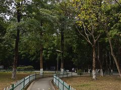 -火炉山森林公园