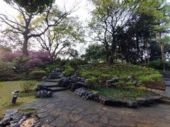 -柳侯公园