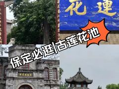 -莲池书院博物馆