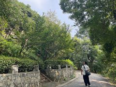 -紫金山天文台