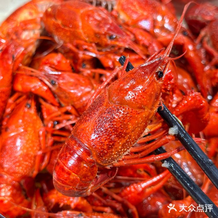南京旅游一定要来玄武湖老牌龙虾店‼️
