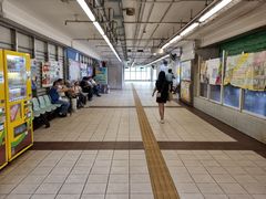 -中环4号渡轮码头