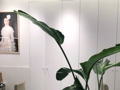 -天真蓝照相馆(杭州滨江宝龙店)