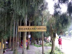 -武陵山森林公园