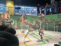 -国家自然博物馆