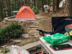 -铁山坪森林公园