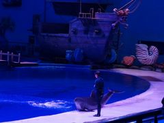 -华夏文旅海洋公园