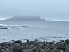 -涉地可支