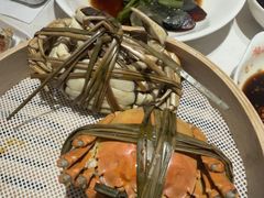 -杨氏青龙虾·羊蝎子(托乐嘉店)