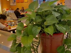 -杨翔豆皮涮牛肚(华阳城店)
