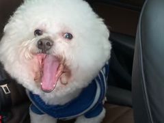 -X88商场(铜仁路店)