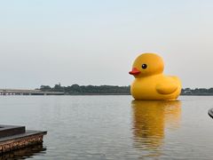 -深圳人才公园