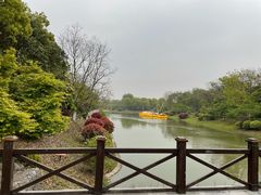 -上海海湾国家森林公园