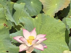 -丝绸小镇荻港古村