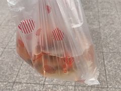 -上海大自然野生昆虫馆(东方明珠·爬宠昆虫探索中心)